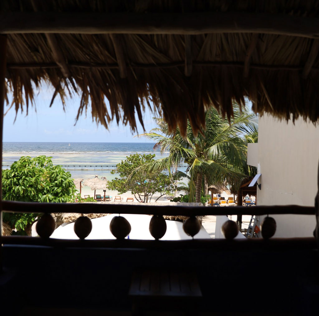 Deluxe Pitaya Bungalow Nacional Beach Club Ocean Views