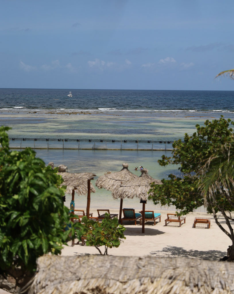 Elevated View Of Private Beach Club At Nacional Beach Club