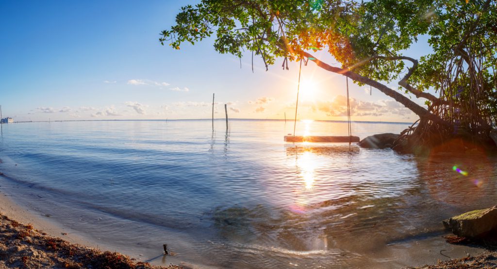The beach swing at sunrise in Mahahual