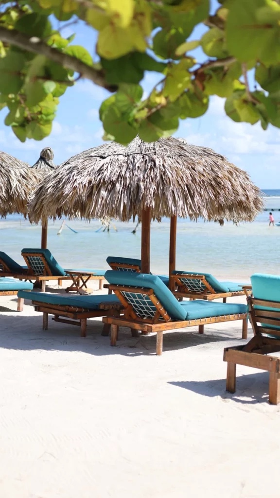 Beach loungers under a palapa