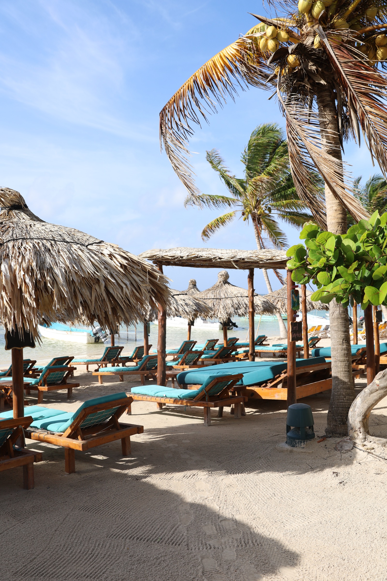 Loungers and palms on the beach at Nacional Beach Club