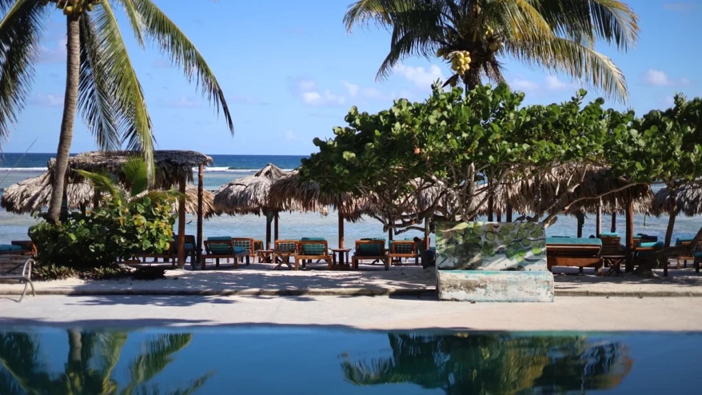 Palms and palapas framing the beach and pool
